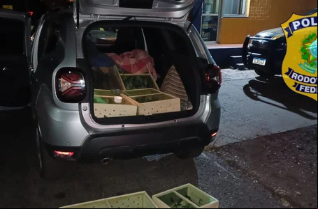 Motorista foi detido e encaminhado à delegacia