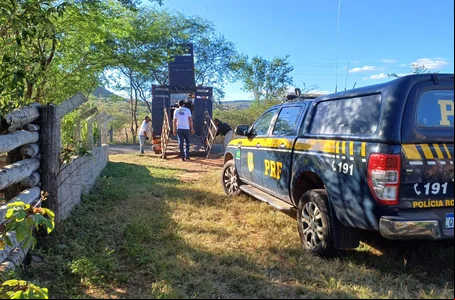 Operação "Manejo de Animais"