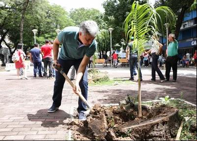 Secretário Fernando Said planta uma muda no centro de Teresina
