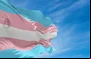 Lutas e conquistas: 20 anos do Dia Nacional da Visibilidade Trans